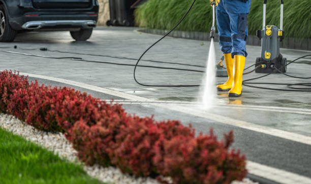 Best Driveway Pressure Washing  in Coatesville, PA